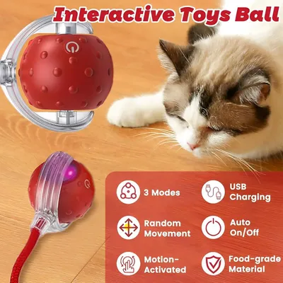 HausPets Intelligenter LED-Spielball Wiederaufladbar für Hund & Katze