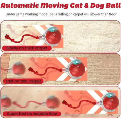 HausPets Intelligenter LED-Spielball Wiederaufladbar für Hund & Katze