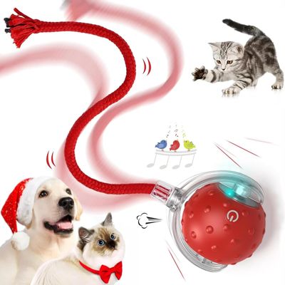 HausPets Intelligenter LED-Spielball Wiederaufladbar für Hund & Katze
