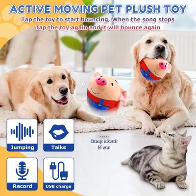HausPets Jouet Mobile Interactif en Peluche pour Chien HausPets Jouet Mobile Interactif en Peluche pour Chien