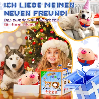 HausPets Jouet Mobile Interactif en Peluche pour Chien HausPets Jouet Mobile Interactif en Peluche pour Chien