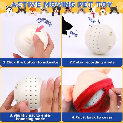 HausPets Jouet Mobile Interactif en Peluche pour Chien
