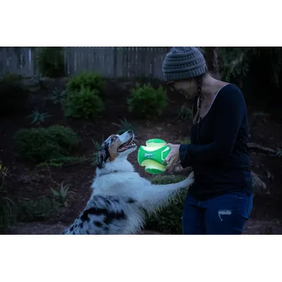 HausPets Max Glow Leuchtball für Hunde