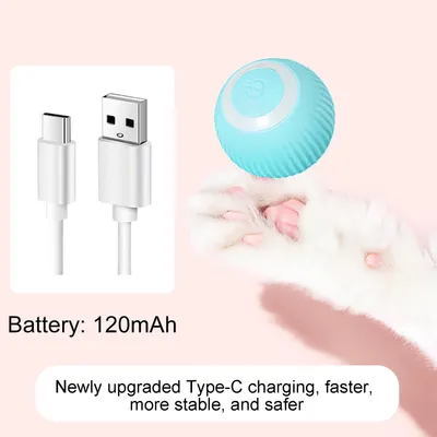 HausPets Automatische Katzenkugel mit LED und USB Blau