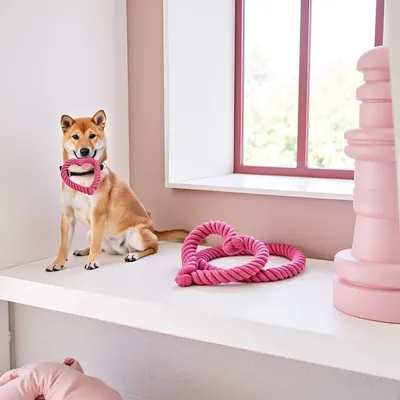 HausPets Herzförmiges Seilspielzeug Rosa Hund Katze Kauer