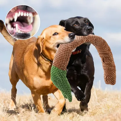 HausPets Schnüffelspielzeug für Hunde in Schneckenform