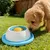 HausPets Jouet Léchage Chien - ABS, Antidérapant, Douceur HausPets Jouet Léchage Chien - ABS, Antidérapant, Douceur