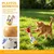 HausPets Spielzeug Katze Buche Wackelbalance Federn 2er Set