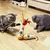 HausPets Spielzeug Katze Buche Wackelbalance Federn 2er Set