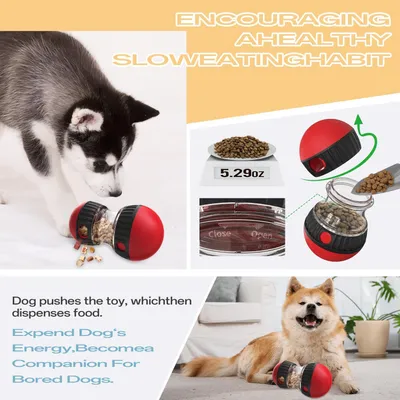 HausPets Distributeur de Croquettes Interactif pour Chien - Slow Feeder HausPets Distributeur de Croquettes Interactif pour Chien - Slow Feeder