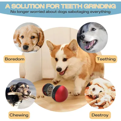 HausPets Distributeur de Croquettes Interactif pour Chien - Slow Feeder HausPets Distributeur de Croquettes Interactif pour Chien - Slow Feeder