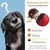 HausPets Distributeur de Croquettes Interactif pour Chien - Slow Feeder HausPets Distributeur de Croquettes Interactif pour Chien - Slow Feeder