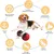 HausPets Distributeur de Croquettes Interactif pour Chien - Slow Feeder HausPets Distributeur de Croquettes Interactif pour Chien - Slow Feeder