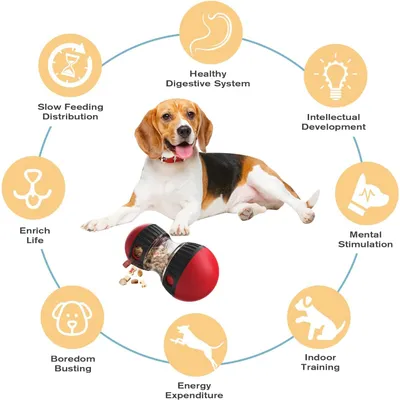 HausPets Distributeur de Croquettes Interactif pour Chien - Slow Feeder HausPets Distributeur de Croquettes Interactif pour Chien - Slow Feeder