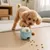 HausPets Jouet à nourriture filtrante pour chien HausPets Jouet à nourriture filtrante pour chien