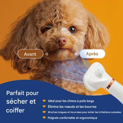 HausPets Peigne à air chaud et spray pour animaux de compagnie