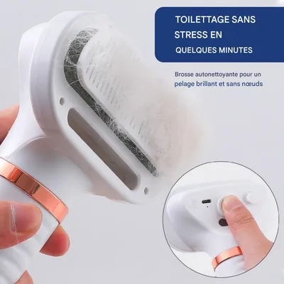 HausPets Peigne à air chaud et spray pour animaux de compagnie