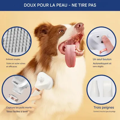 HausPets Peigne à air chaud et spray pour animaux de compagnie