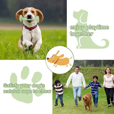 HausPets 3er-Set Kauspielzeug aus Naturkautschuk