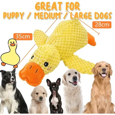 35cm plush squeaky duck, soft durable for all dogs. 35cm plush squeaky duck, soft durable for all dogs.