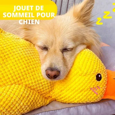 35cm plush squeaky duck, soft durable for all dogs. 35cm plush squeaky duck, soft durable for all dogs.
