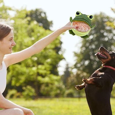 HausPets Jouet Chien Grenouille Interactif avec Squeaker Démontable
