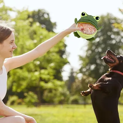 HausPets Jouet Chien Grenouille Interactif avec Squeaker Démontable HausPets Jouet Chien Grenouille Interactif avec Squeaker Démontable
