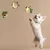 HausPets Jouet Chien Grenouille Interactif avec Squeaker Démontable HausPets Jouet Chien Grenouille Interactif avec Squeaker Démontable