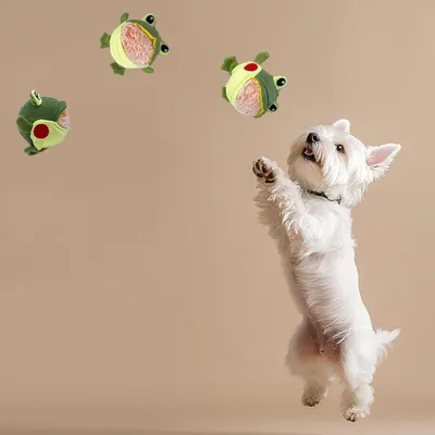 HausPets Jouet Chien Grenouille Interactif avec Squeaker Démontable HausPets Jouet Chien Grenouille Interactif avec Squeaker Démontable