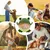 HausPets Jouet Chien Grenouille Interactif avec Squeaker Démontable HausPets Jouet Chien Grenouille Interactif avec Squeaker Démontable