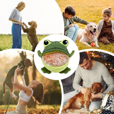 HausPets Jouet Chien Grenouille Interactif avec Squeaker Démontable HausPets Jouet Chien Grenouille Interactif avec Squeaker Démontable