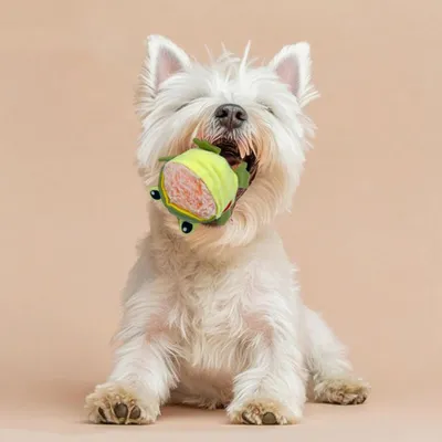 HausPets Jouet Chien Grenouille Interactif avec Squeaker Démontable HausPets Jouet Chien Grenouille Interactif avec Squeaker Démontable