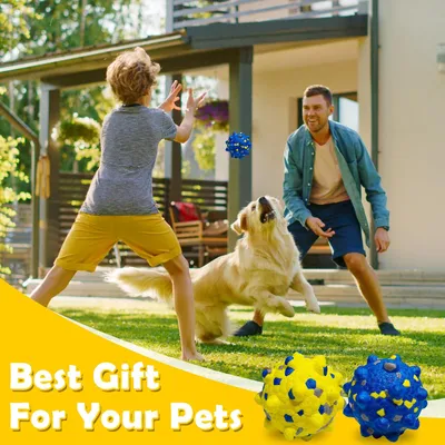 HausPets 4er-Set Bälle für aggressive Hunde