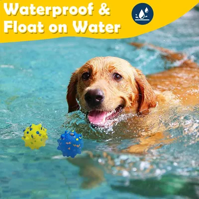 HausPets 4er-Set Bälle für aggressive Hunde