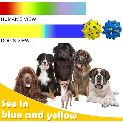 HausPets 4er-Set Bälle für aggressive Hunde