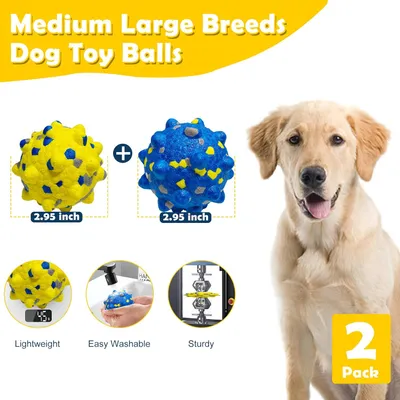 HausPets 4er-Set Bälle für aggressive Hunde