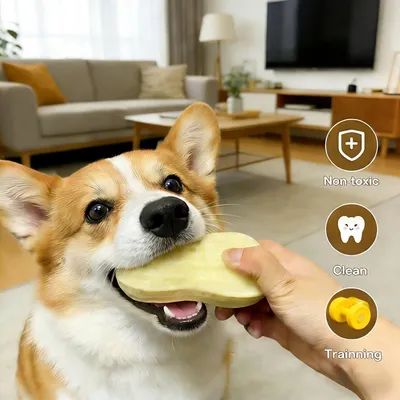 HausPets Quietschspielzeug Erdnussform Zahnreinigung Hund
