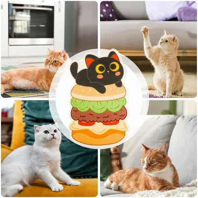 HausPets Griffoir Chat Mural Autocollant Sisal 80cm Protecteur HausPets Griffoir Chat Mural Autocollant Sisal 80cm Protecteur