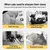 HausPets Griffoir Chat Mural Sisal 30x40cm ou 40x60cm Protecteur HausPets Griffoir Chat Mural Sisal 30x40cm ou 40x60cm Protecteur