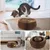 HausPets Rascador de cartón plegable 2 en 1 para gatos con campana HausPets Rascador de cartón plegable 2 en 1 para gatos con campana