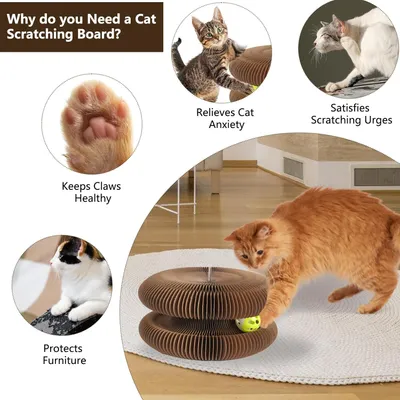HausPets Griffoir Chat Carton Magique Pliable 2 en 1 avec Clochette HausPets Griffoir Chat Carton Magique Pliable 2 en 1 avec Clochette