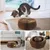 HausPets Griffoir Chat Carton Magique Pliable 2 en 1 avec Clochette HausPets Griffoir Chat Carton Magique Pliable 2 en 1 avec Clochette