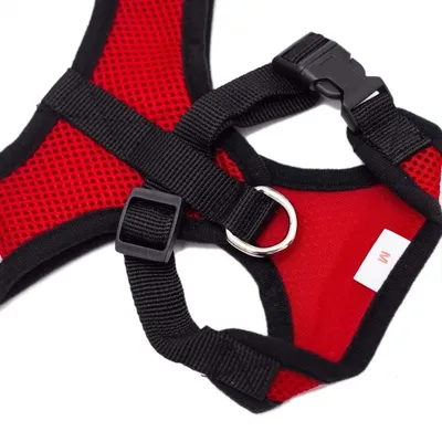 HausPets Laufleine mit 2 Griffen, elastisch HausPets Laufleine mit 2 Griffen, elastisch