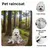 HausPets Hunderegenmantel transparent M Umhang PVC wasserdicht HausPets Hunderegenmantel transparent M Umhang PVC wasserdicht