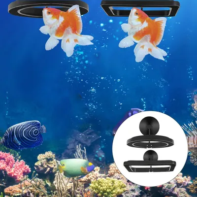 Futterring für Fische 2 Stk Futterspender Aquarium Schildkröte Futterring für Fische 2 Stk Futterspender Aquarium Schildkröte