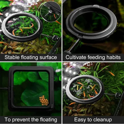 Futterring für Fische 2 Stk Futterspender Aquarium Schildkröte Futterring für Fische 2 Stk Futterspender Aquarium Schildkröte