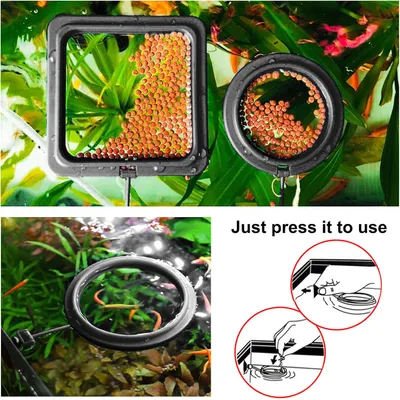 Futterring für Fische 2 Stk Futterspender Aquarium Schildkröte Futterring für Fische 2 Stk Futterspender Aquarium Schildkröte