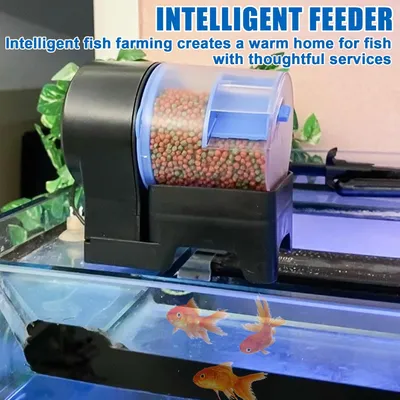 Automatischer Fischfutterautomat，100ml,LYCB049