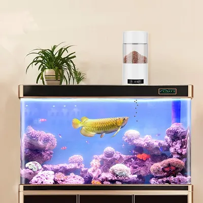 Automatischer Aquarienfutterautomat,500ml Automatischer Aquarienfutterautomat,500ml