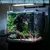 Algenverteiler Goldfische Magnet Algenclip Aquarium Magnethalter Algenverteiler Goldfische Magnet Algenclip Aquarium Magnethalter